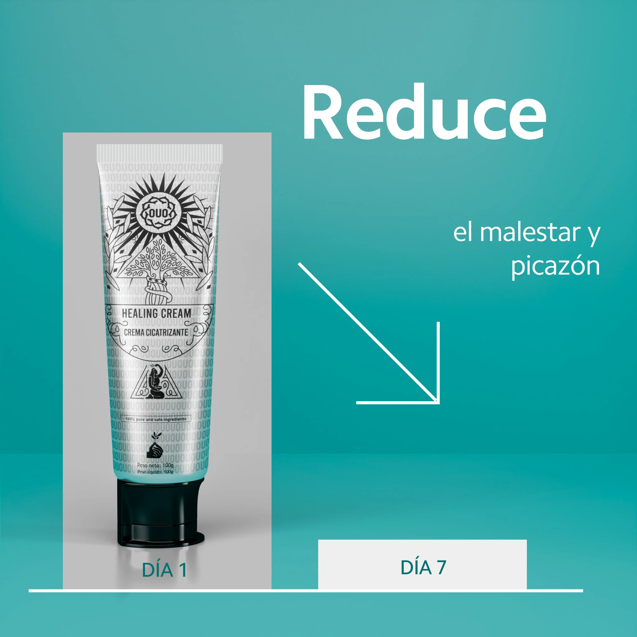 Imagen del producto 6