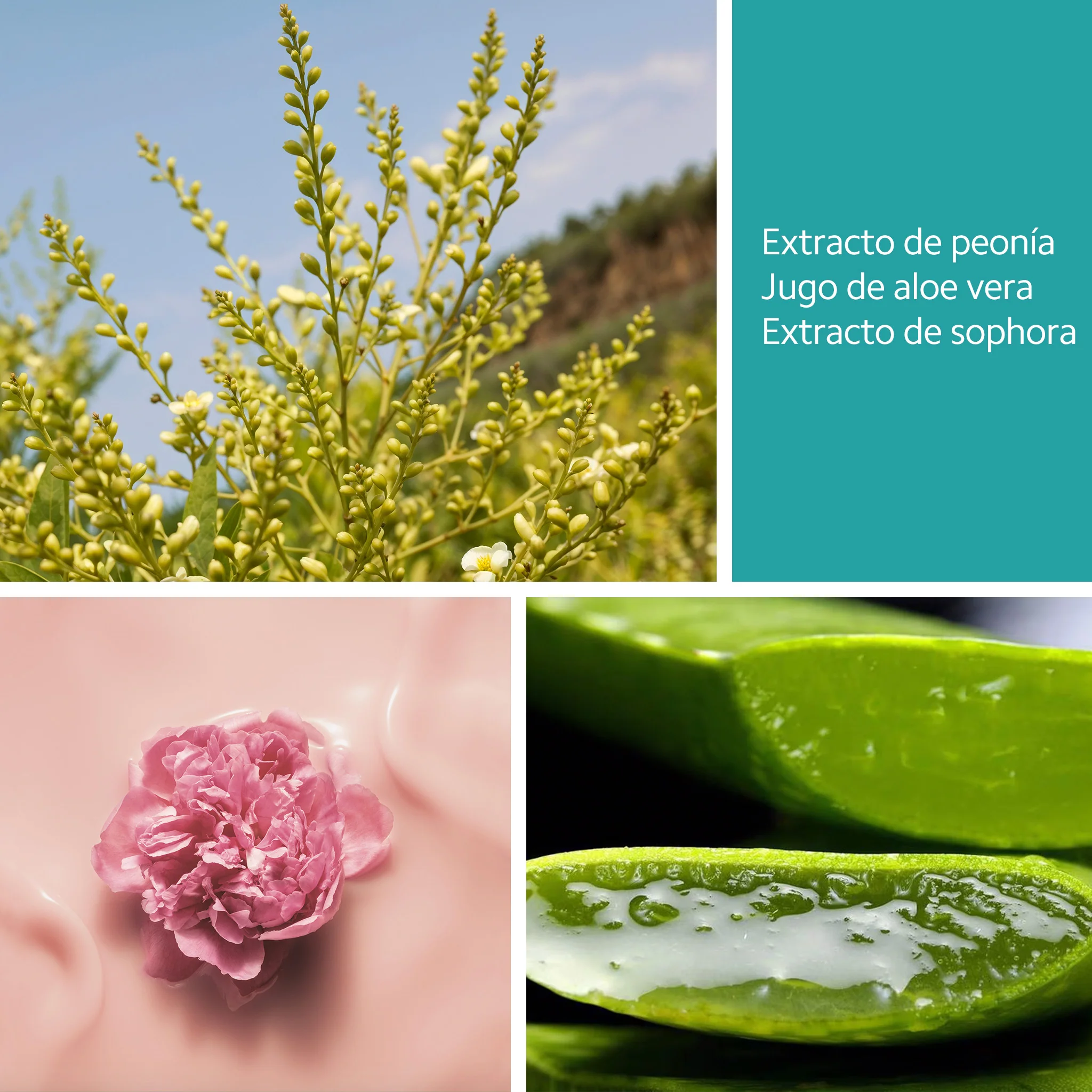 Imagen del producto 7