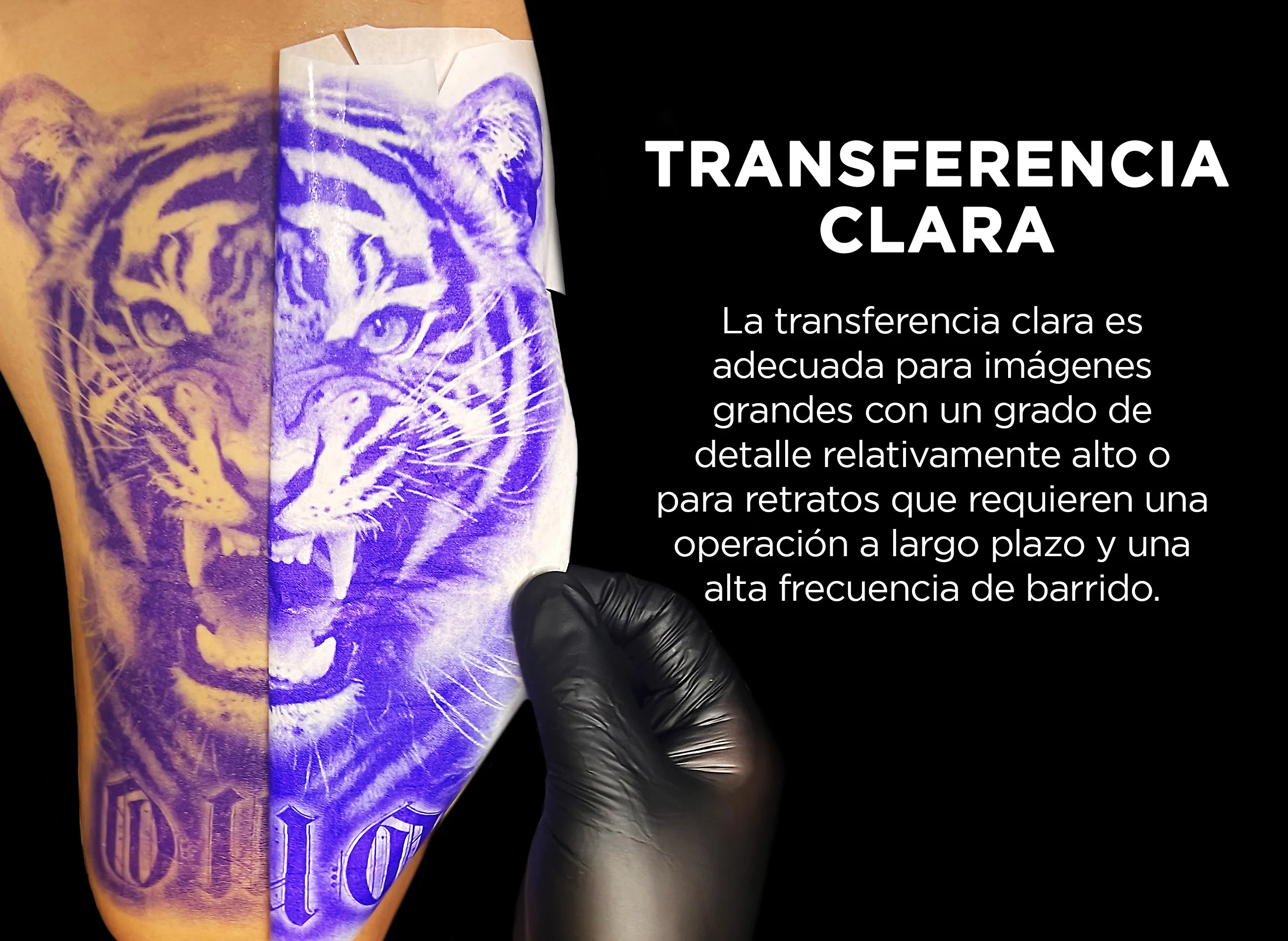 Imagen del producto 8