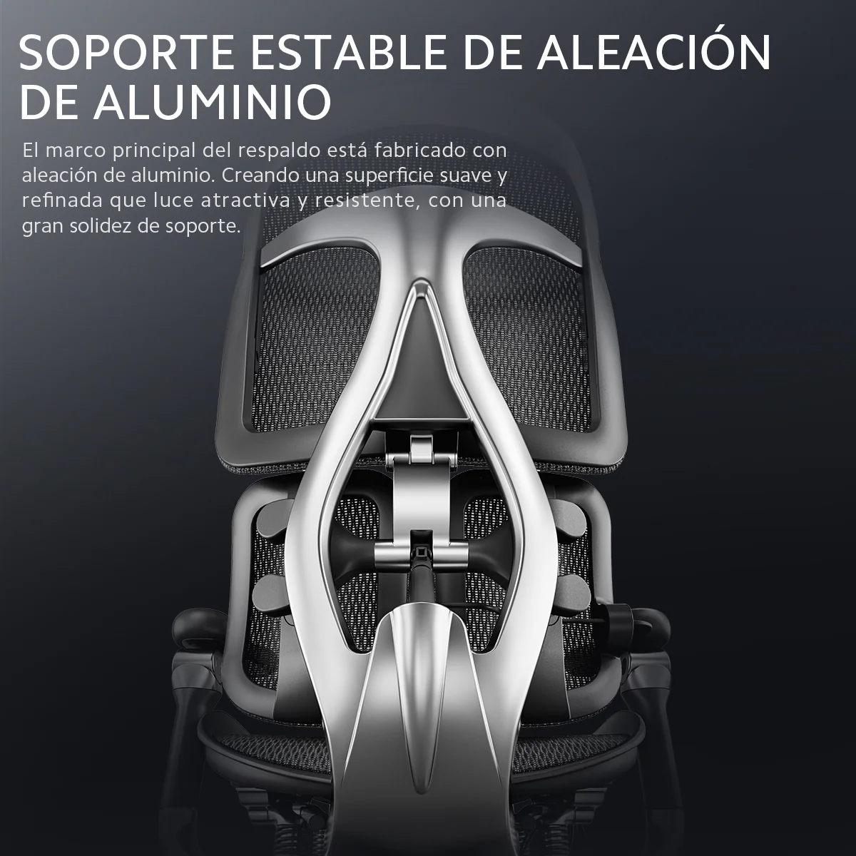 Imagen del producto 10