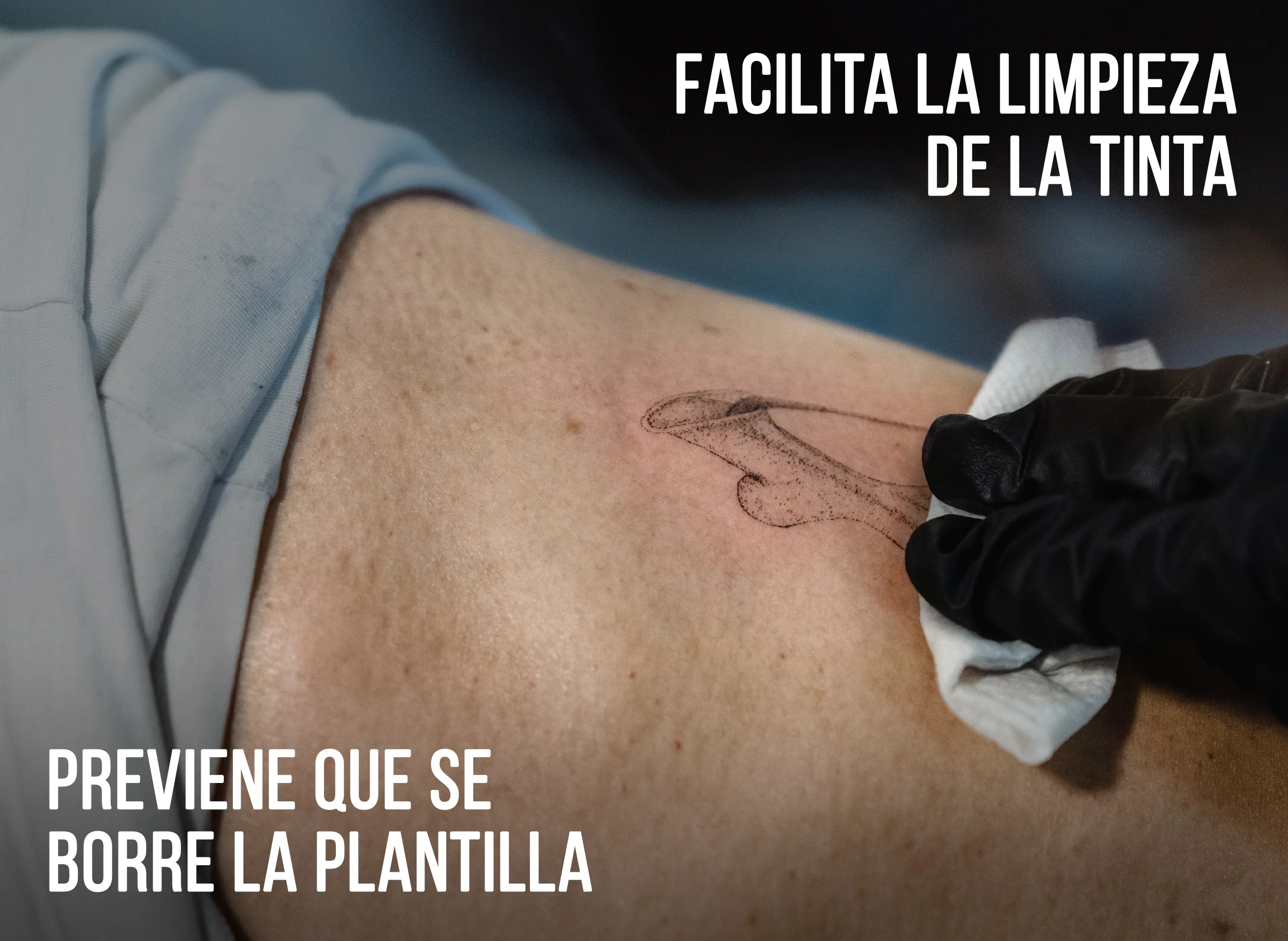 Imagen del producto 5